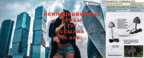 индика Верхнеуральск